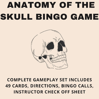 Preview of Skull Anatomy Labeled Activity Skull Anatomy Game/ Skull Anatomy Quiz (Auditory)