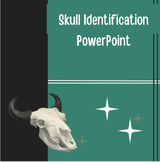 Skull Identification - Mammals PowerPoint