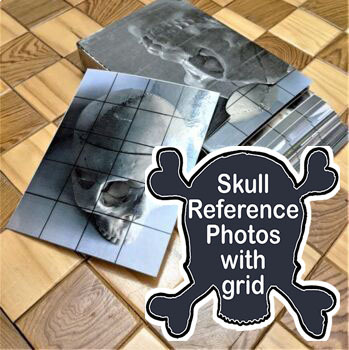 Preview of Skull Reference Photos with Grid (copyright free)