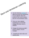 Skull and Vertebrae Labeling