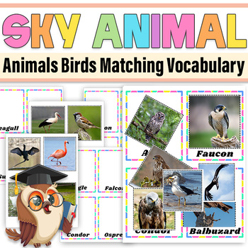 Preview of Sky Animal Matching | Animals Birds Matching Posters Vocabulary |Animal Matching