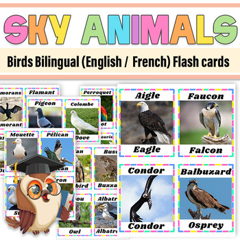 Preview of Sky Animals Birds Bilingual (English / French) Flash Cards | Birds Posters