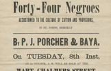 Slave Auction Broadside - Primary Source Analysis