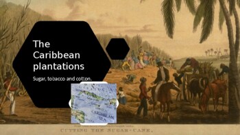 Preview of Slave Trade - The Caribbean Plantations