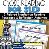 Sled Dogs Reading Passages Activities Alaska Race Nonficti