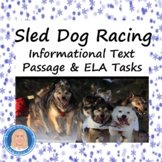 Sled Dog Racing | Reading Comprehension Passage & ELA Tasks