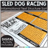 Sled Dog Racing Informational Text Structure Sort