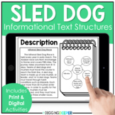 Sled Dog Racing Informational Text Structures Print and Di