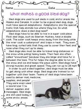 sled dogs nonfiction article pack freebie by primary panda tpt