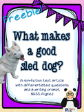 Sled Dogs Nonfiction Article Pack Freebie