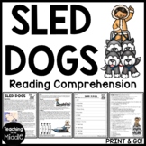 Sled Dogs Reading Comprehension Worksheet Call of the Wild