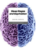 Sleep Stages, Cycles, and Sleep Deprivation: AP Psychology/Brain Science Lesson