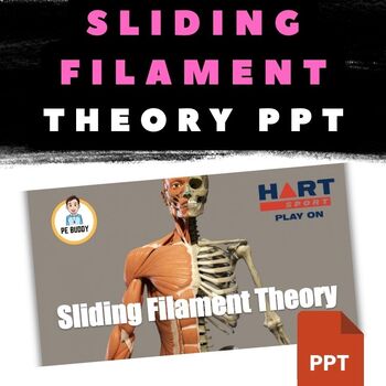 Preview of Ultimate 'Sliding Filament Theory' PowerPoint with Videos & Quiz!