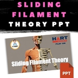 Ultimate 'Sliding Filament Theory' PowerPoint with Videos & Quiz!