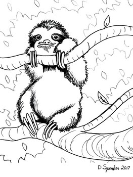 Sloth Coloring Sheet by MrsSpeaker | Teachers Pay Teachers