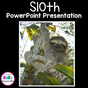 Preview of Sloth PowerPoint Presentation