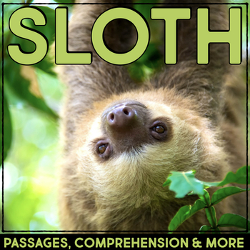 Preview of Sloth Reading Passage & Comprehension Activities Nonfiction Rainforest Animals