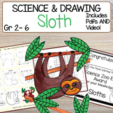 Sloth Small Mammal Directed Drawing | Habitat | How to Dra