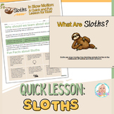 Sloths Quick Lesson All About Sloths Sloth Presentation Sl