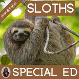 Sloths Unit for Special Education | Forest Biome