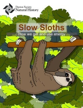 Preview of Slow Sloth: Movement and Energy