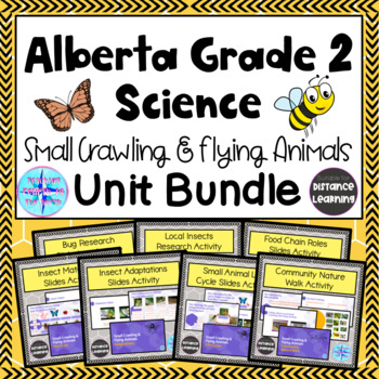 Small Crawling And Flying Animals Teaching Resources | TPT