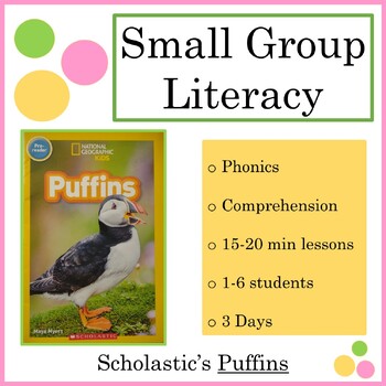 Preview of Small Group 3-Day Reading Lesson Plan: Puffins