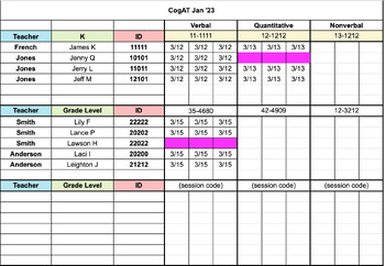 Preview of Small Group CogAT Testing Log