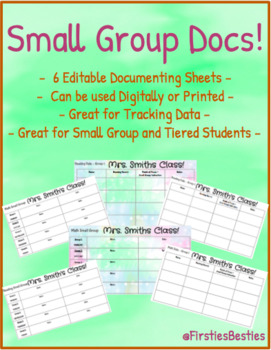 Preview of Small Group Data Tracking Records! (Editable and can be used digital or printed)