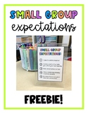 Small Group Expectations FREEBIE