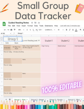 Preview of Small Group, Guided Reading, Data Tracker Sheet, Excel Sheet