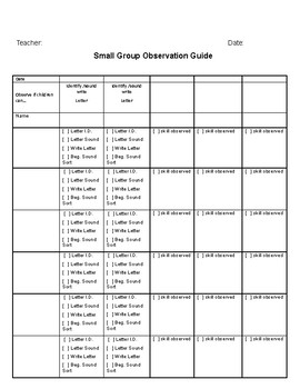 Preview of Small Group Observation Sheet