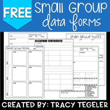 Preview of Small Group Reading Data Forms