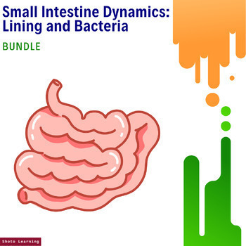 Preview of Small Intestine Mastery Bundle: Explore the Lining and Bacteria Dynamics