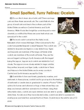Preview of Small Spotted, Furry Felines: Ocelots Comprehension and Essay Response: GR6