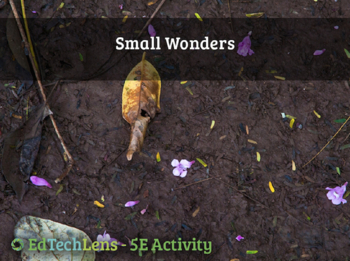 Preview of Small Wonders - Finding Biodiversity in a Local Habitat - Home User Activity