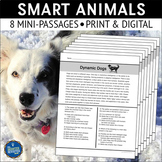 Smart Animals Nonfiction Reading Comprehension Passages