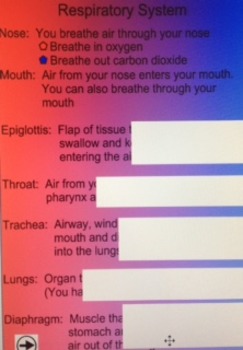 Preview of Smart Board Lesson:  Respiratory System