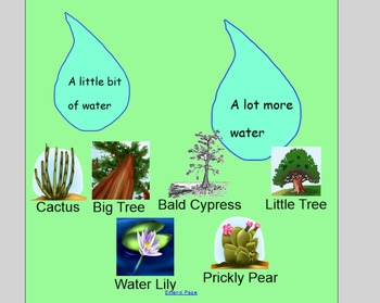 Preview of Smart Board Plants Lesson