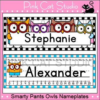 Editable Desk Name s Owl Theme Classroom By Pink Cat Studio