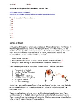 Preview of Smell and Taste Lab