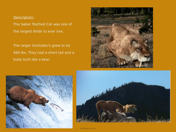 Smilodon by CJMLJM | Teachers Pay Teachers