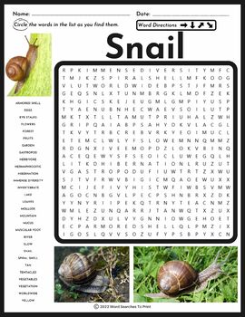Snail Word Search Puzzle Animal Research All About Land Snails