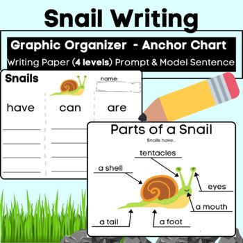 Preview of Snail Writing and Labeling Informative Have Can Are w/ Anchor Charts