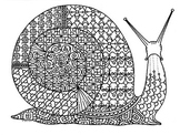 Snail Zentangle Coloring Page