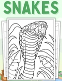 Snake Coloring Pages (PDF Printables)