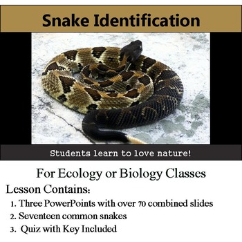 Preview of Snake Identification - 17 Common Snakes - with assessment