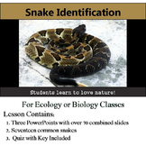 Snake Identification - 17 Common Snakes - with assessment