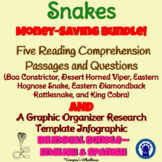 Snake Reading Passages, Questions, Infographic, & More Bil