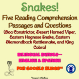 Snake Reading Passages, Questions, & More Bilingual Bundle